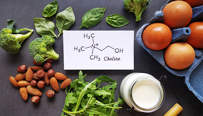 Foods rich in choline 