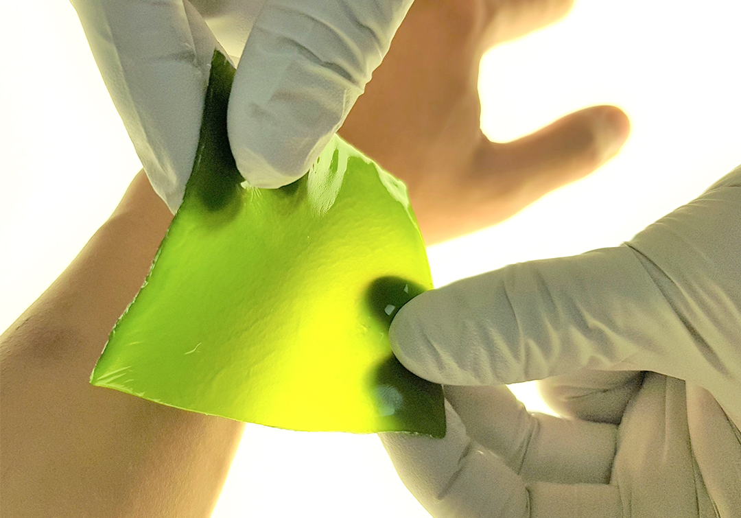 Green square microalgae wound dressing, held with two hands over an arm.