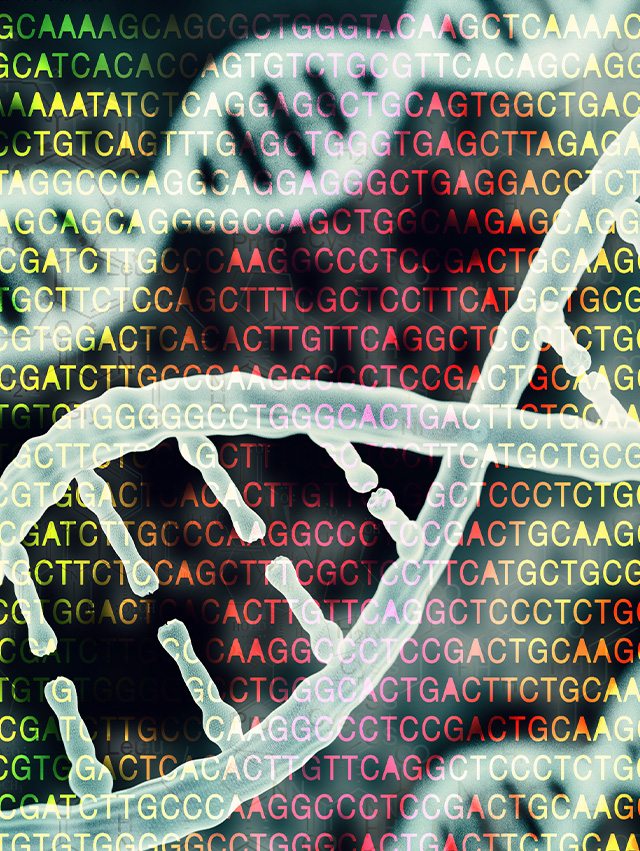 DNA, RNA, genes and genomics – what's the difference? - Institute for ...