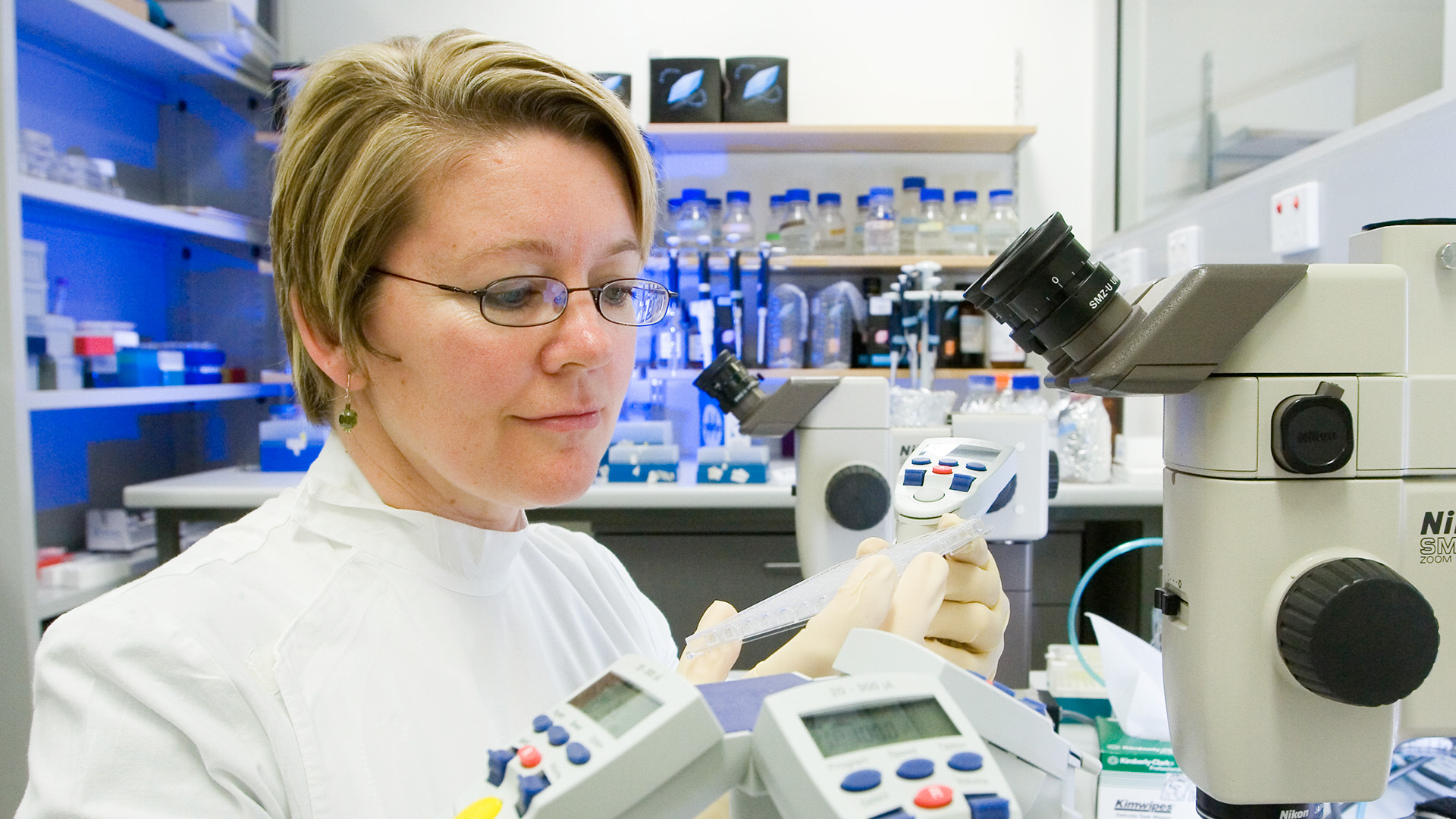 Emerita Professor Jenny Martin