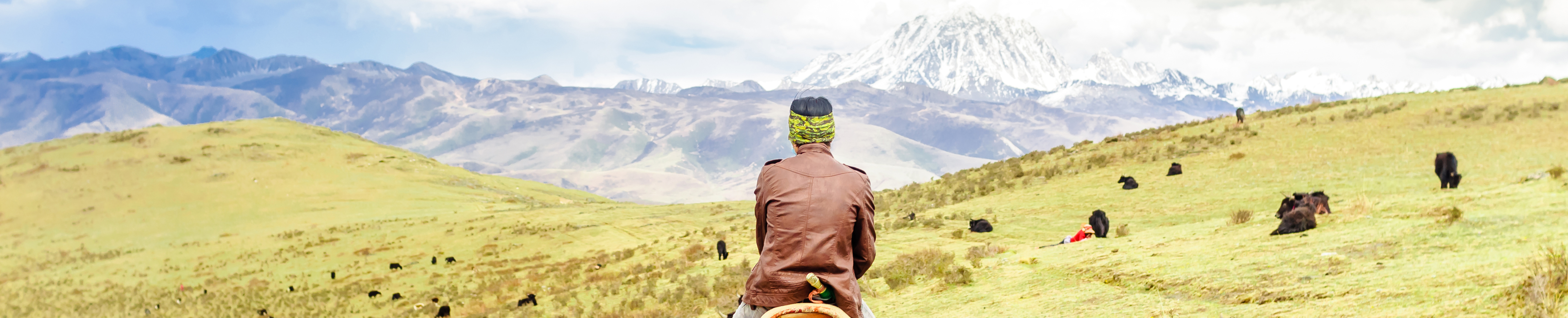 The Amazing Adaptation: How Tibetans Survive High Altitudes - nw2cayn