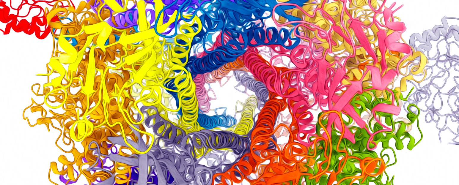 Structure of the YenTcA toxin complex looking down through the central channel.