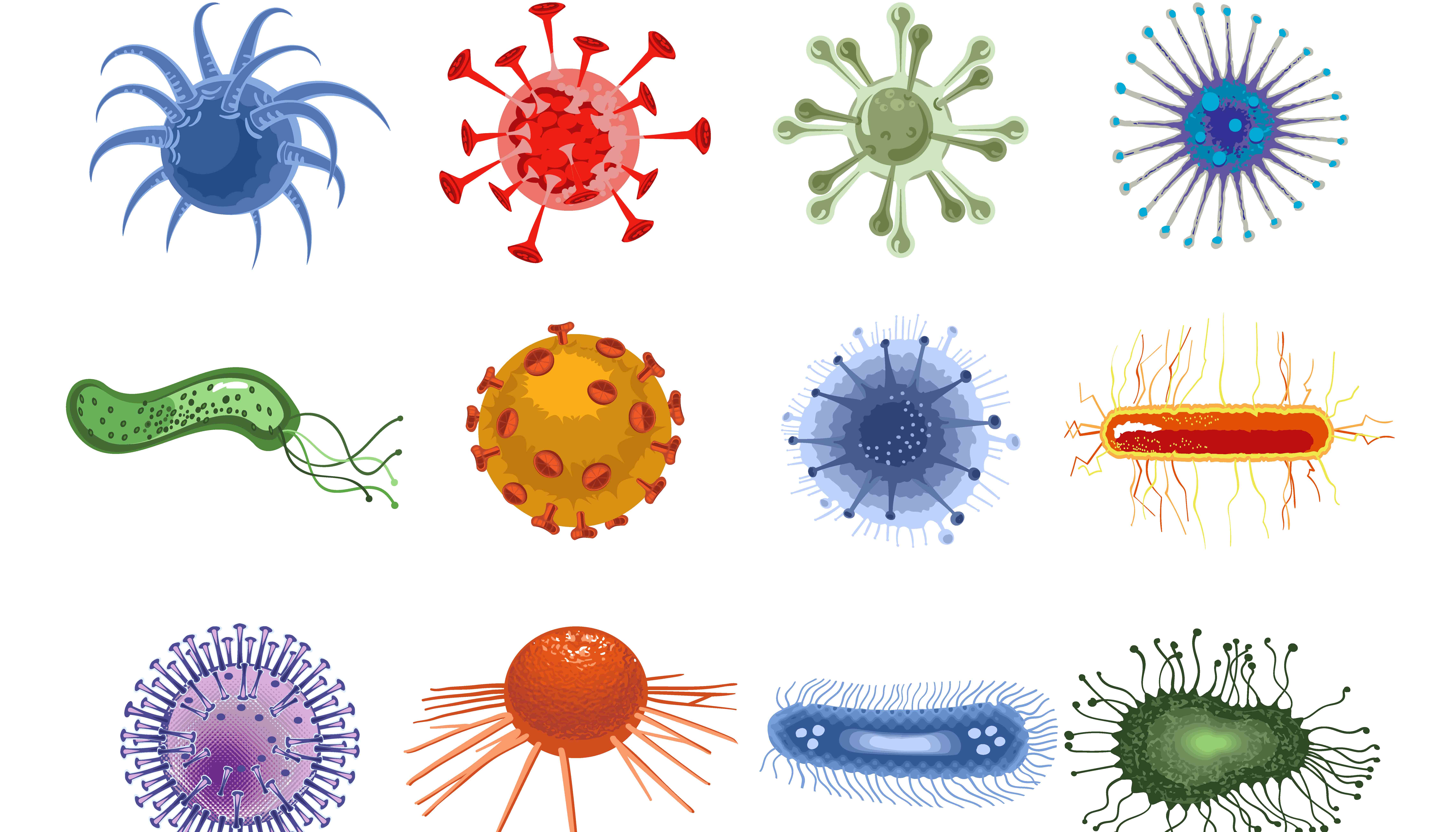Como Os Vírus E As Bactérias Agem No Organismo - AskSchool