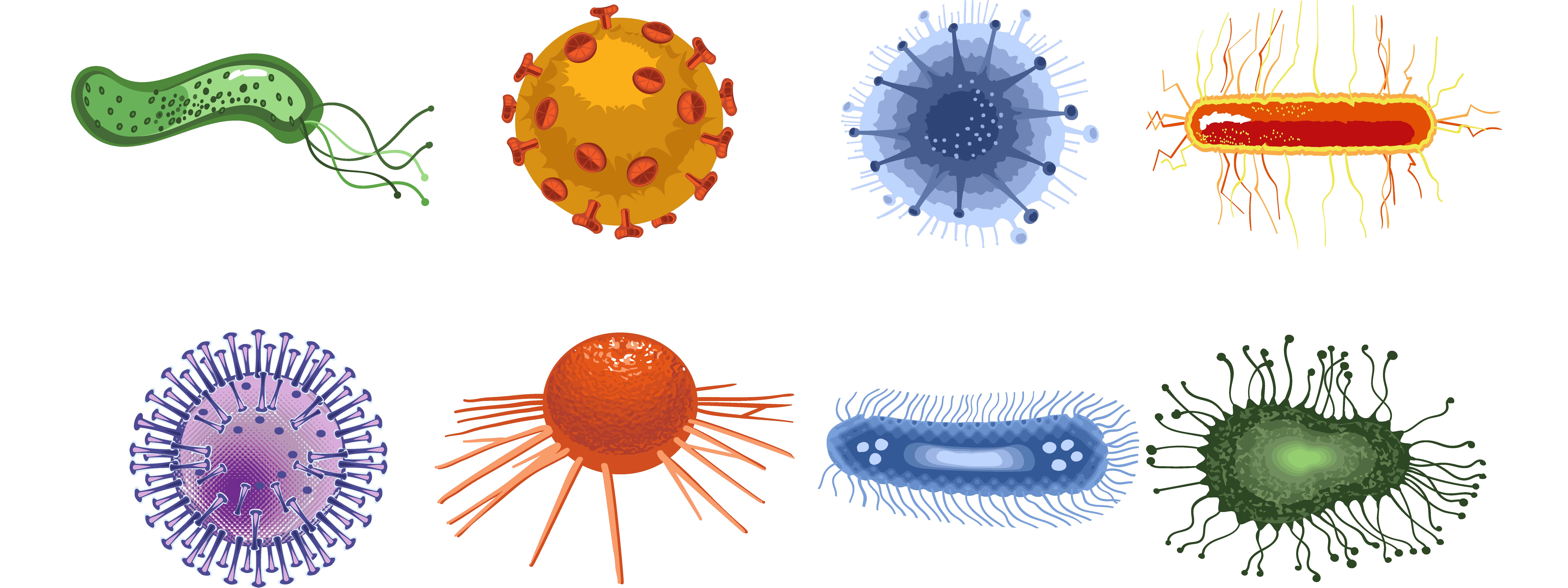 What s The Difference Between Bacteria And Viruses Institute For 