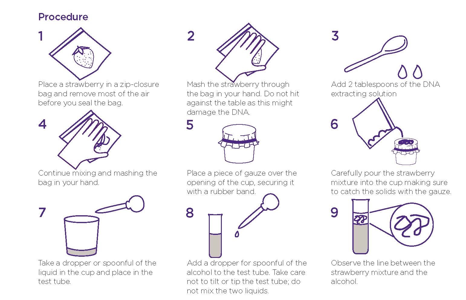 Strawberry DNA extraction activity - Institute for Molecular Inside Strawberry Dna Extraction Lab Worksheet