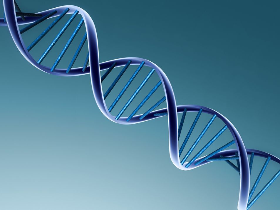 DNA is a long molecule that contains our unique genetic code.