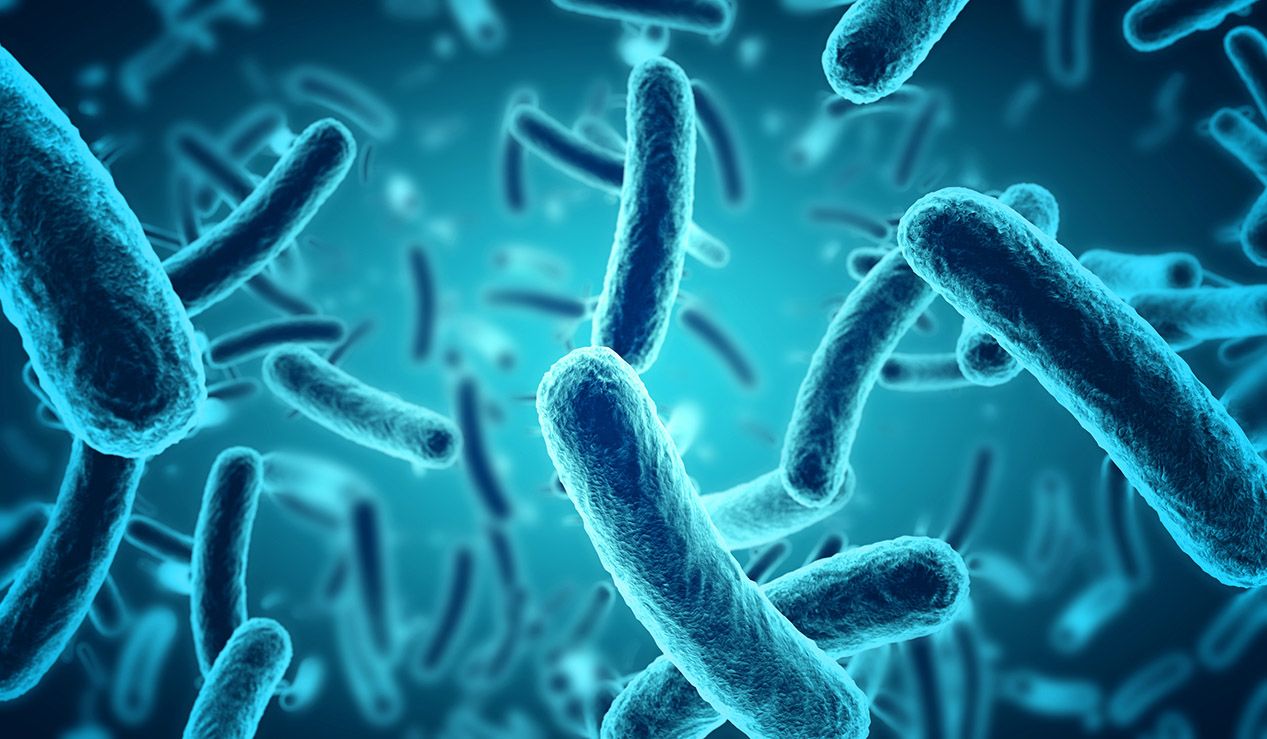Superbugs are bacteria with resistance to all currently used antibiotics.