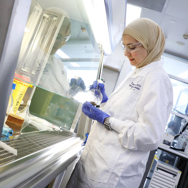 Dr Zeinab Khalil at a fume hood examining a sample
