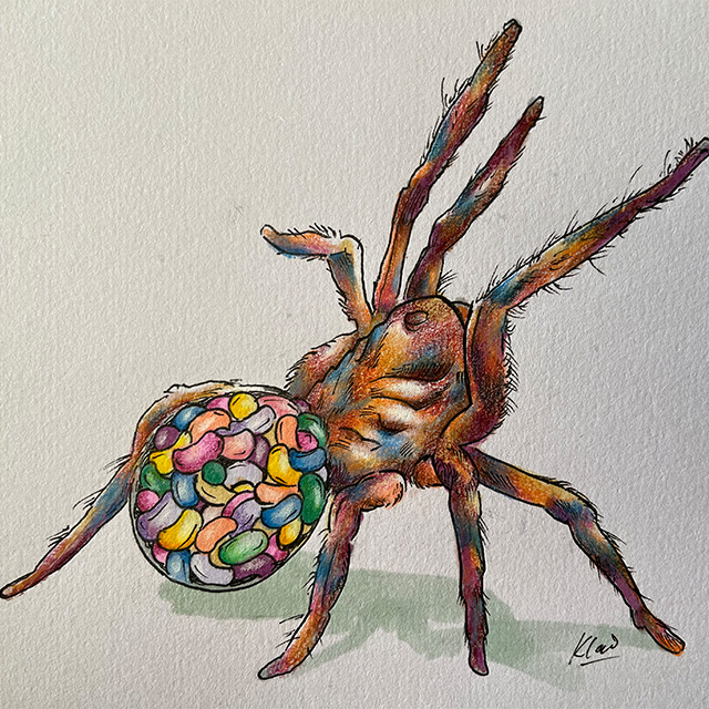 Spider with jelly beans as venom