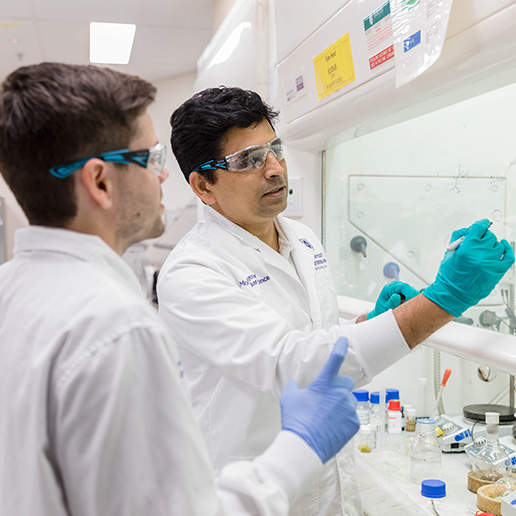 phd biotechnology in australia