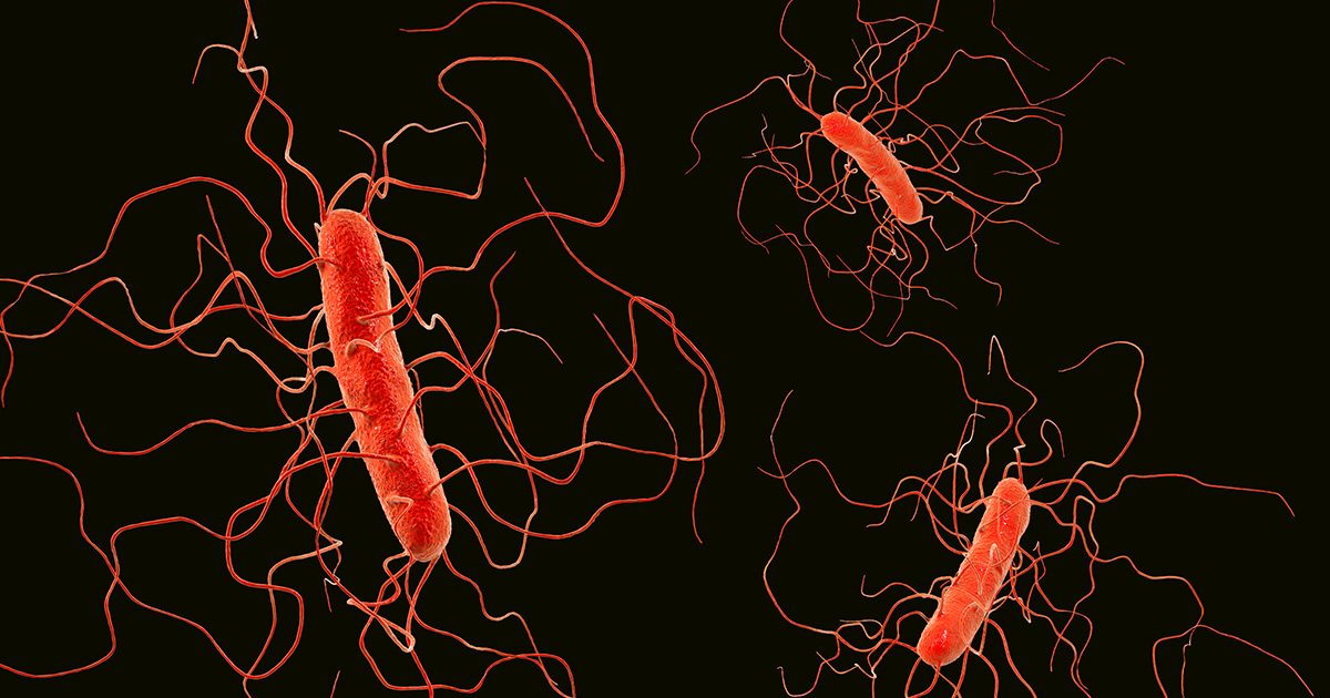 IBD treatment from bacteria receives funding boost - Institute for ...