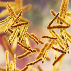 Capreomycin was developed from the soil bacterium, Streptomyces capreolus.