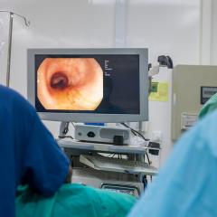 A colonoscopy procedure taking place and visualised on a computer screen