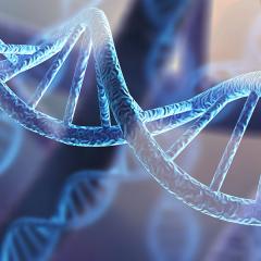 DNA helices 
