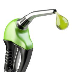 Algal biofuels