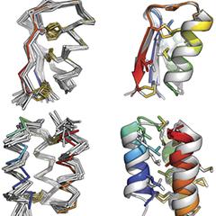 Peptide structures