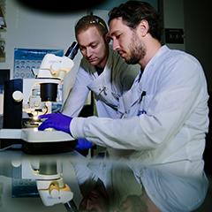 NHMRC grant recipient Associate Professor Ben Hogan