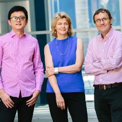 Jian Yang, Naomi Wray, Peter Visscher