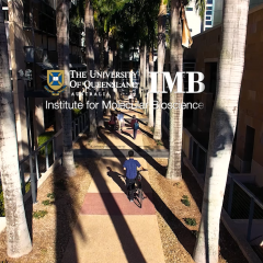 IMB facilities video