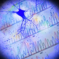 Motor neuron disease