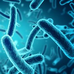 Superbugs