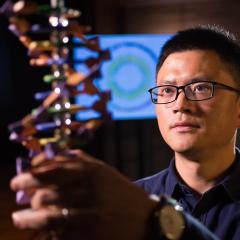 Professor Jian Yang