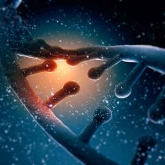 Strand of DNA. Credit: ESB Professional/Shutterstock