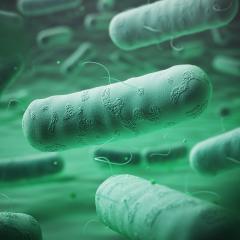 Tuberculosis. Maxx-Studio/Shutterstock.com