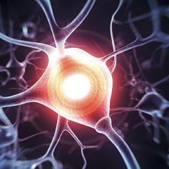 Neuron firing