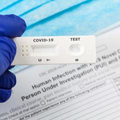 Gloved hand holding COVID-19 antibody test