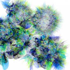 Macrophages imaged on the Lattice Light-sheet microscope