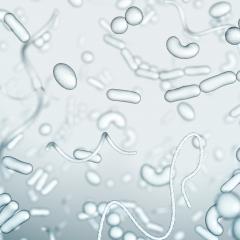 Superbugs - drug-resistant bacteria under the microscope