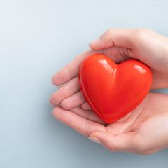 Cupped hands holding heart shape
