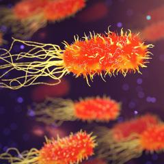 Disarming superbugs that can cause deadly infections is the focus of the powerful database - SPARK.
