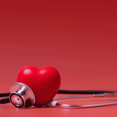 A plastic heart leans against a stethoscope