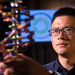 Professor Jian Yang