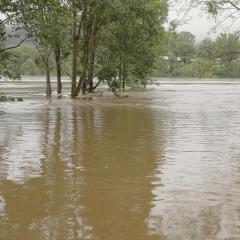 Flooded river
