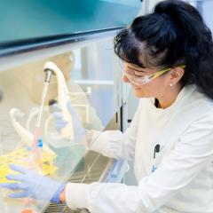 Dr Marija Kojic