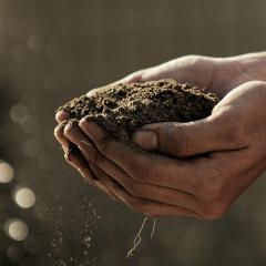 Queenslanders are being asked to 'dig deep' for Soils for Science.