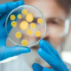 Microbes Australia citizen science project