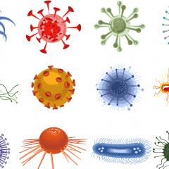 Cartoon of different types of bacteria and viruses