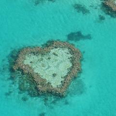 Aerial photo of Heart-shaped reef in the Great Barrier Reef