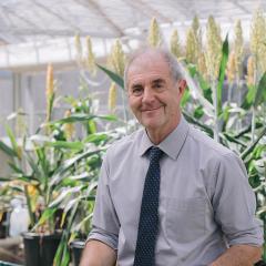 Professor David Craik in a greenhouse