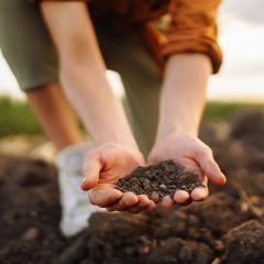 Woman holding soil in hands standing in muddy field