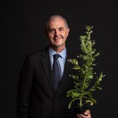 Professor David Craik holding a plant with a black background