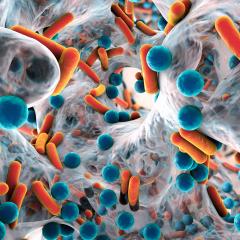 Biofilm of drug-resistant bacteria