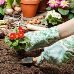 Gardening with gloves