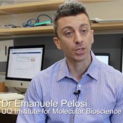 Dr Emanuele Pelosi, UQ Institute for Molecular Bioscience