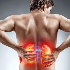 Man holding his back with kidney area highlighted in red